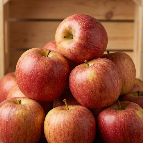 고당도 프리미엄 꿀사과 5KG(선물용)